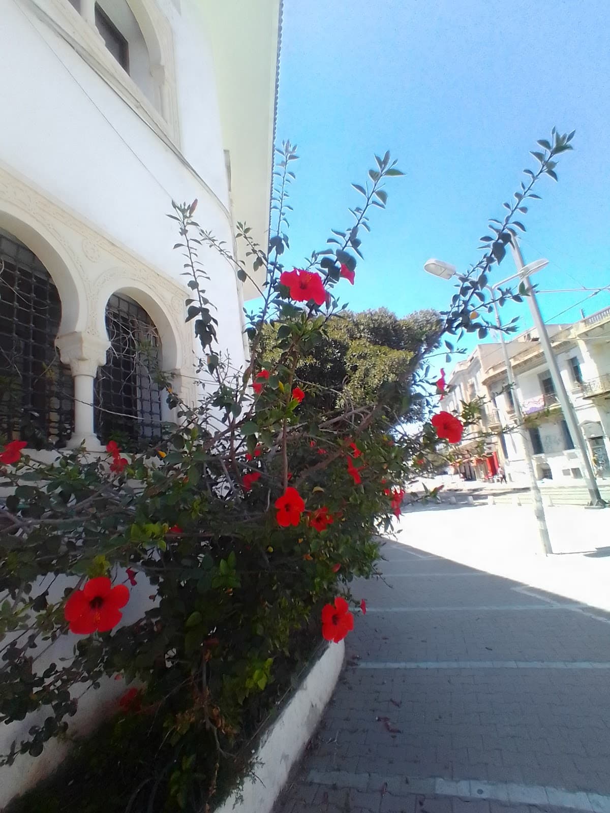 Lafayette Quarter - Image 1