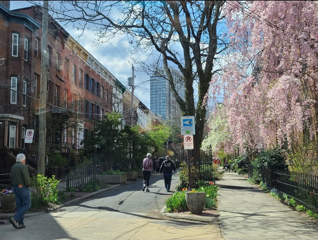 Wooster Square New Haven - Image 1