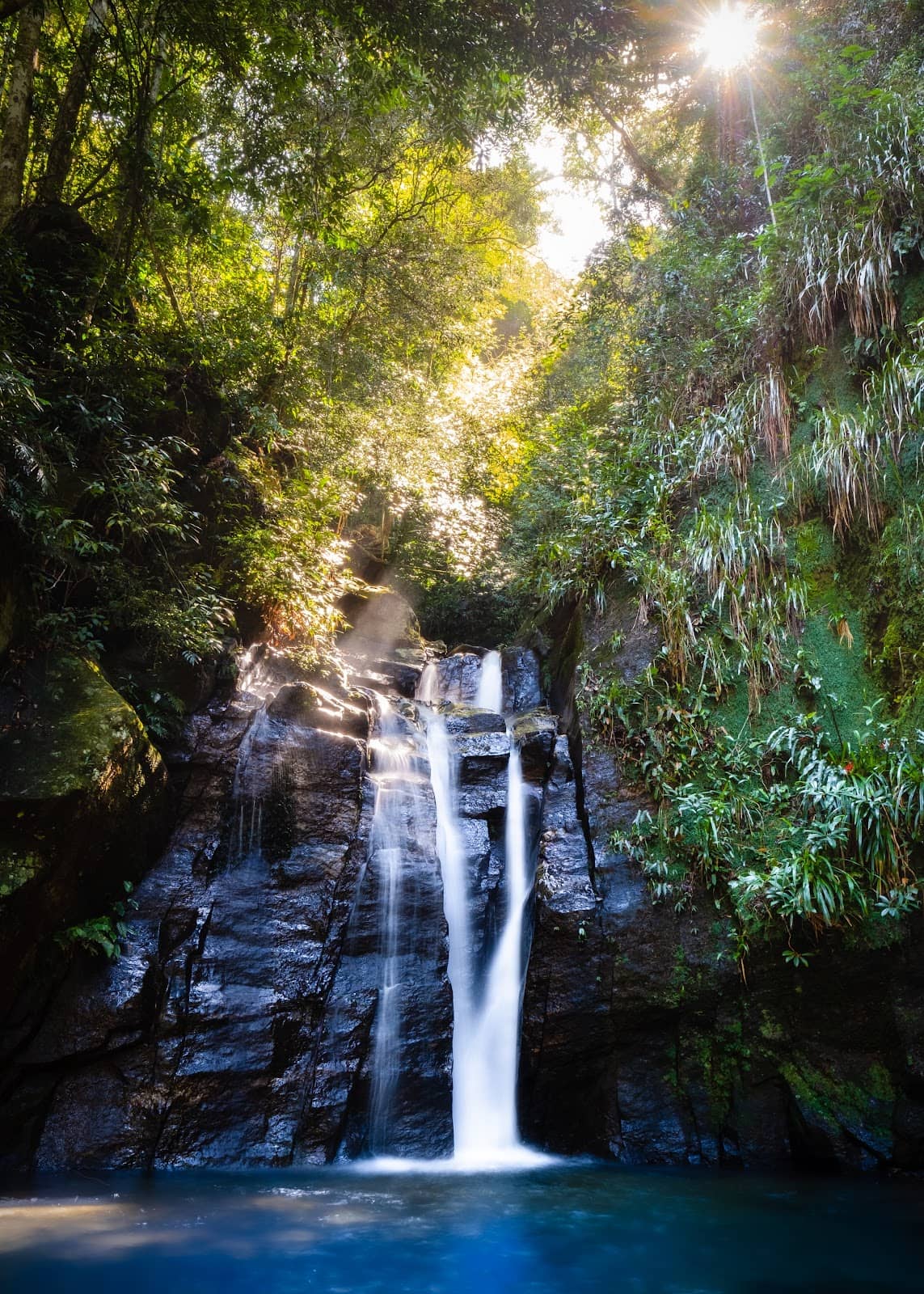 Jungle Trail Adventure