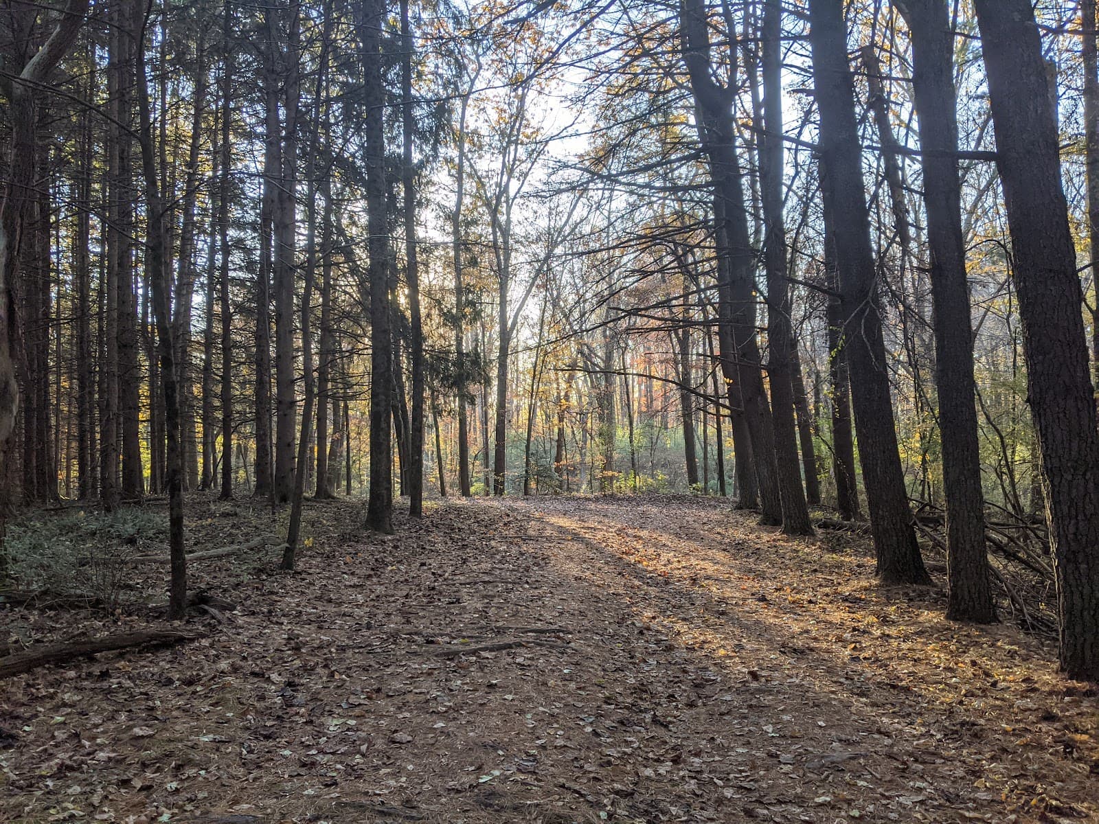 Detweiler Park - Image 1