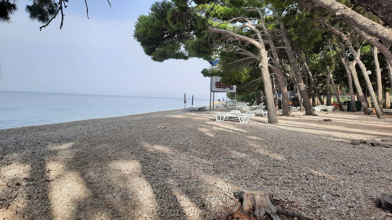 Family-Friendly Amenities