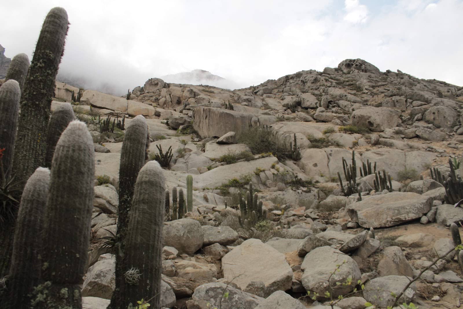 Mirador Cerro Campana Views