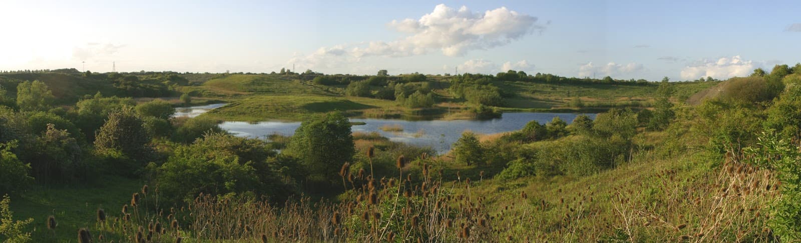 King's Dyke Nature Reserve - Image 1