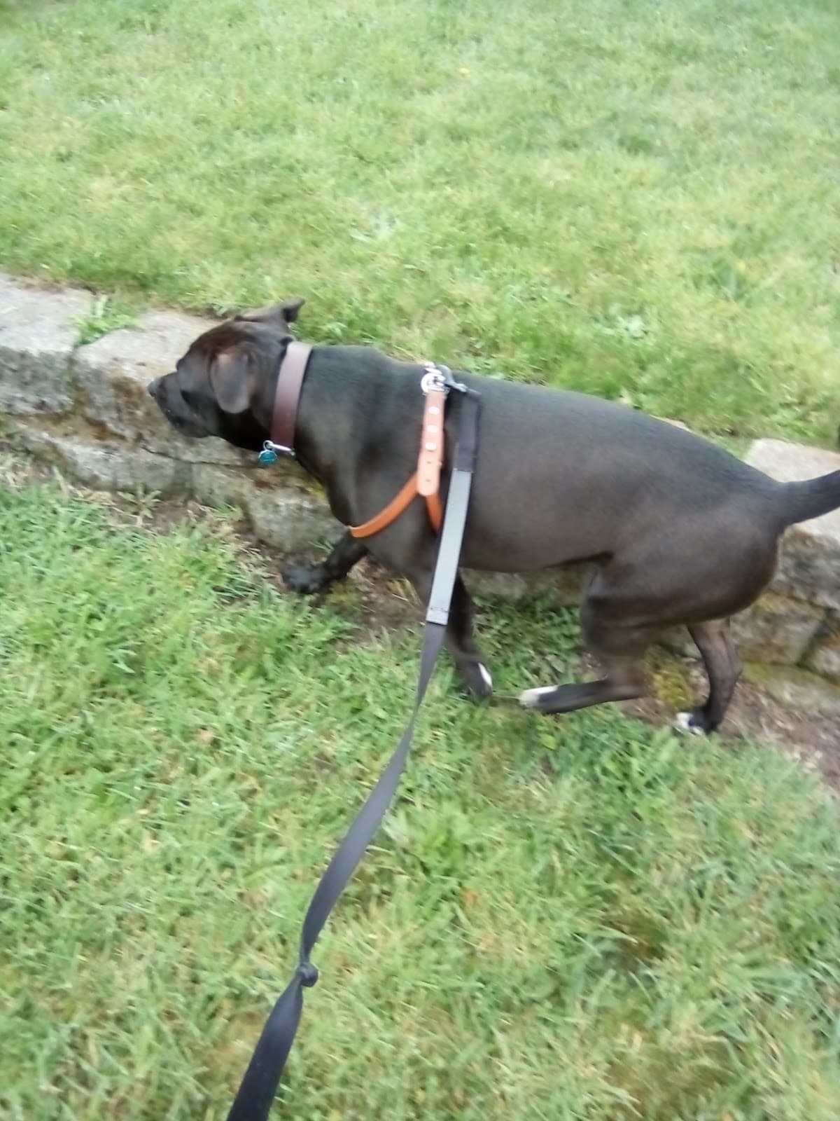 Lincoln District - Image 1