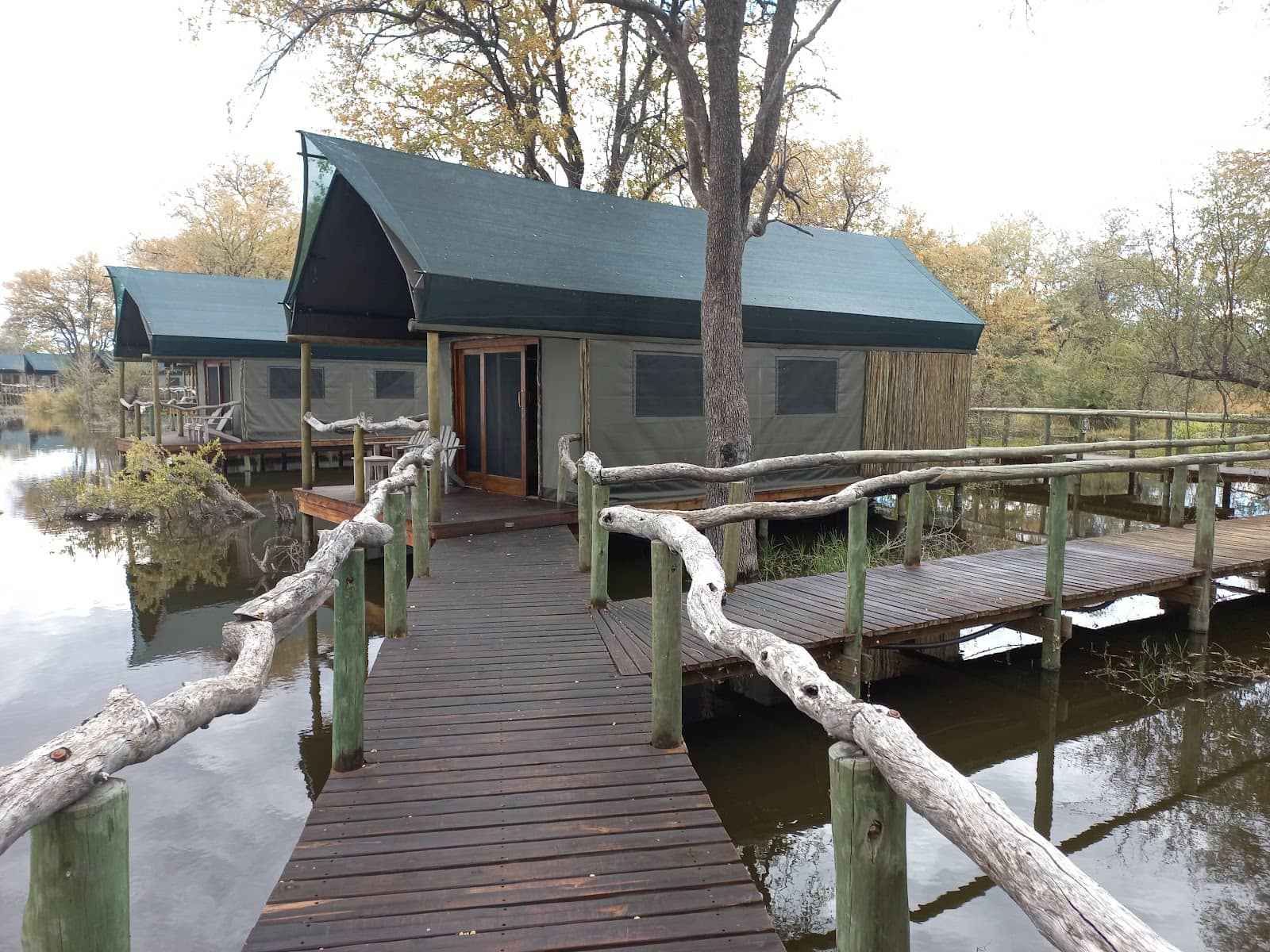 Exceptional Game Drives