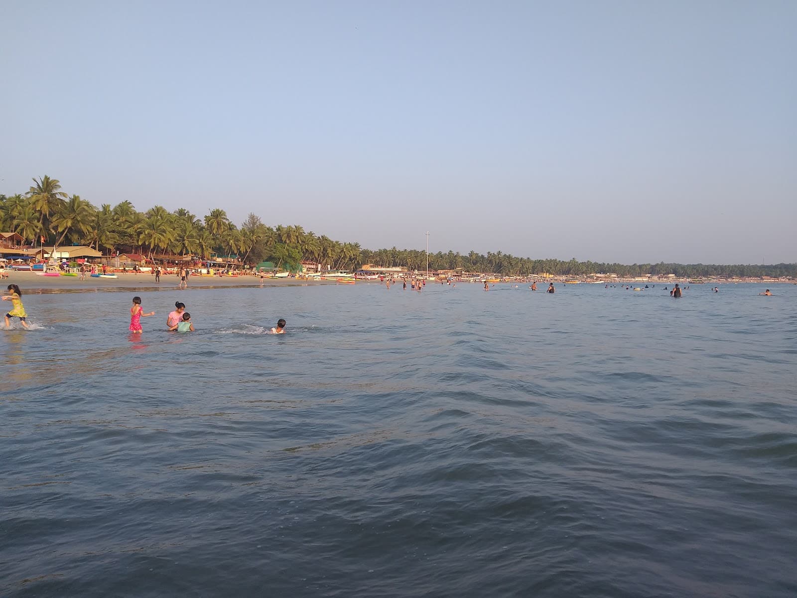 Dolphin Watching Palolem Goa India - Image 1