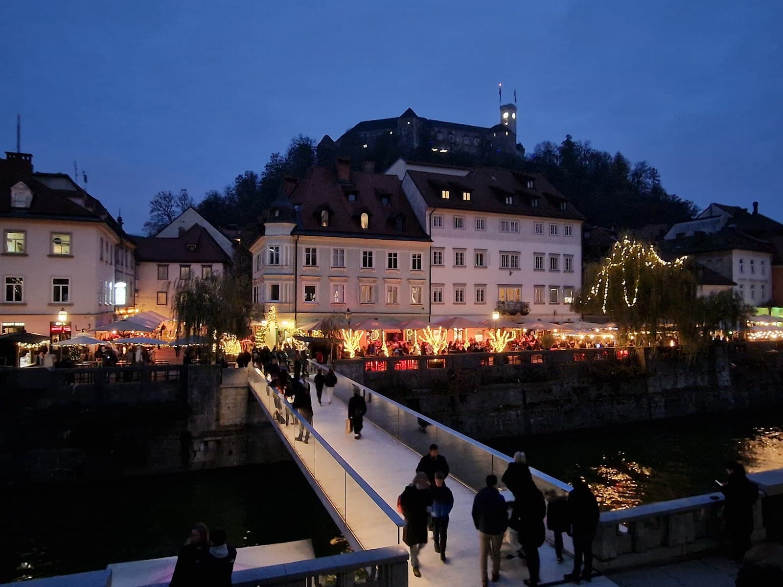 Ribja brv Fish Footbridge - Image 1