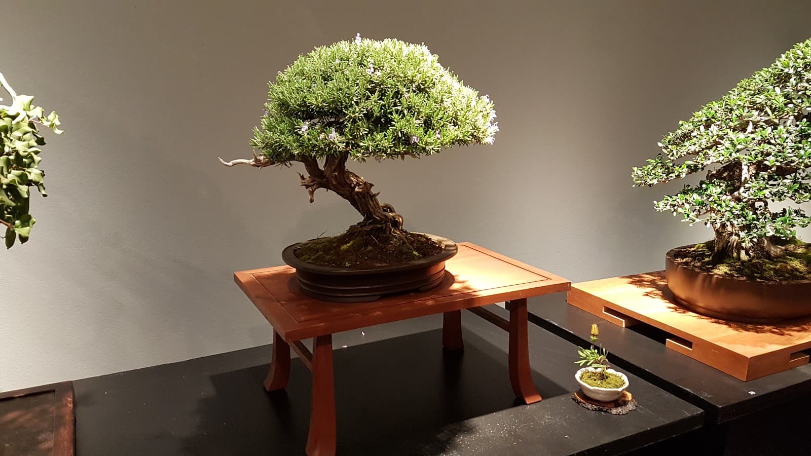 Casa de la Cultura Fuengirola - Image 1