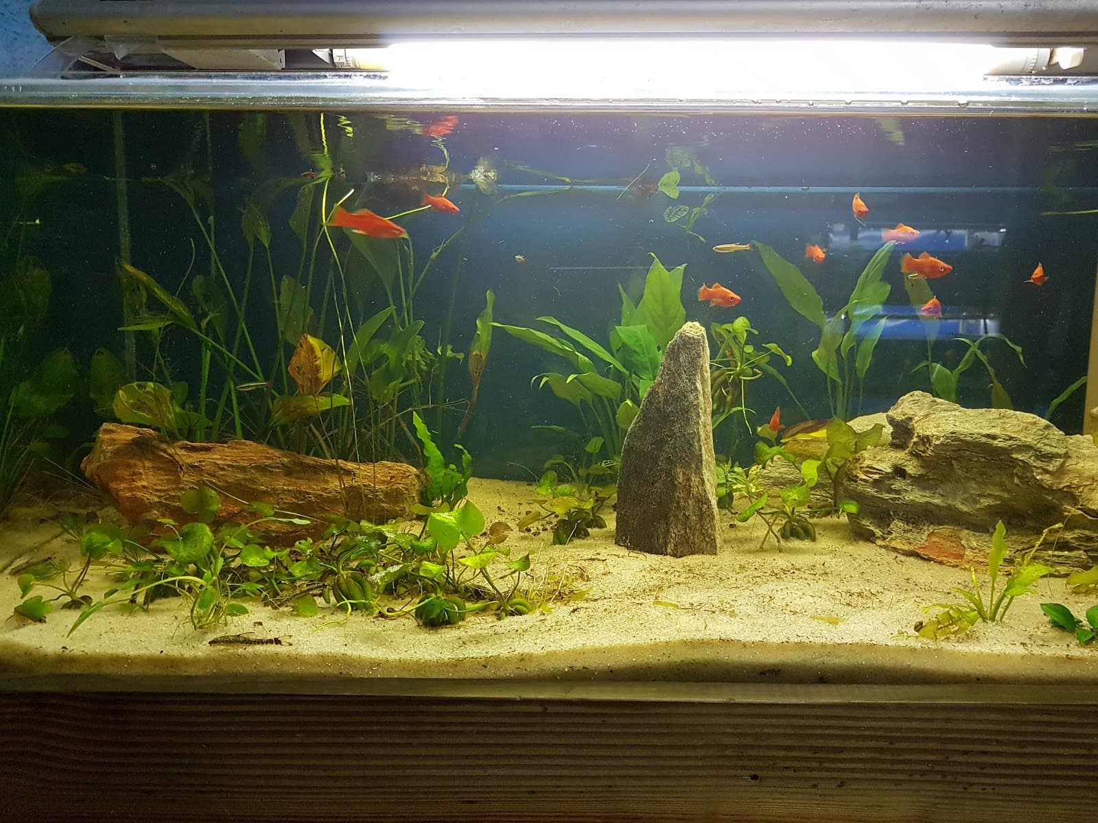 AquaRio - Image 1