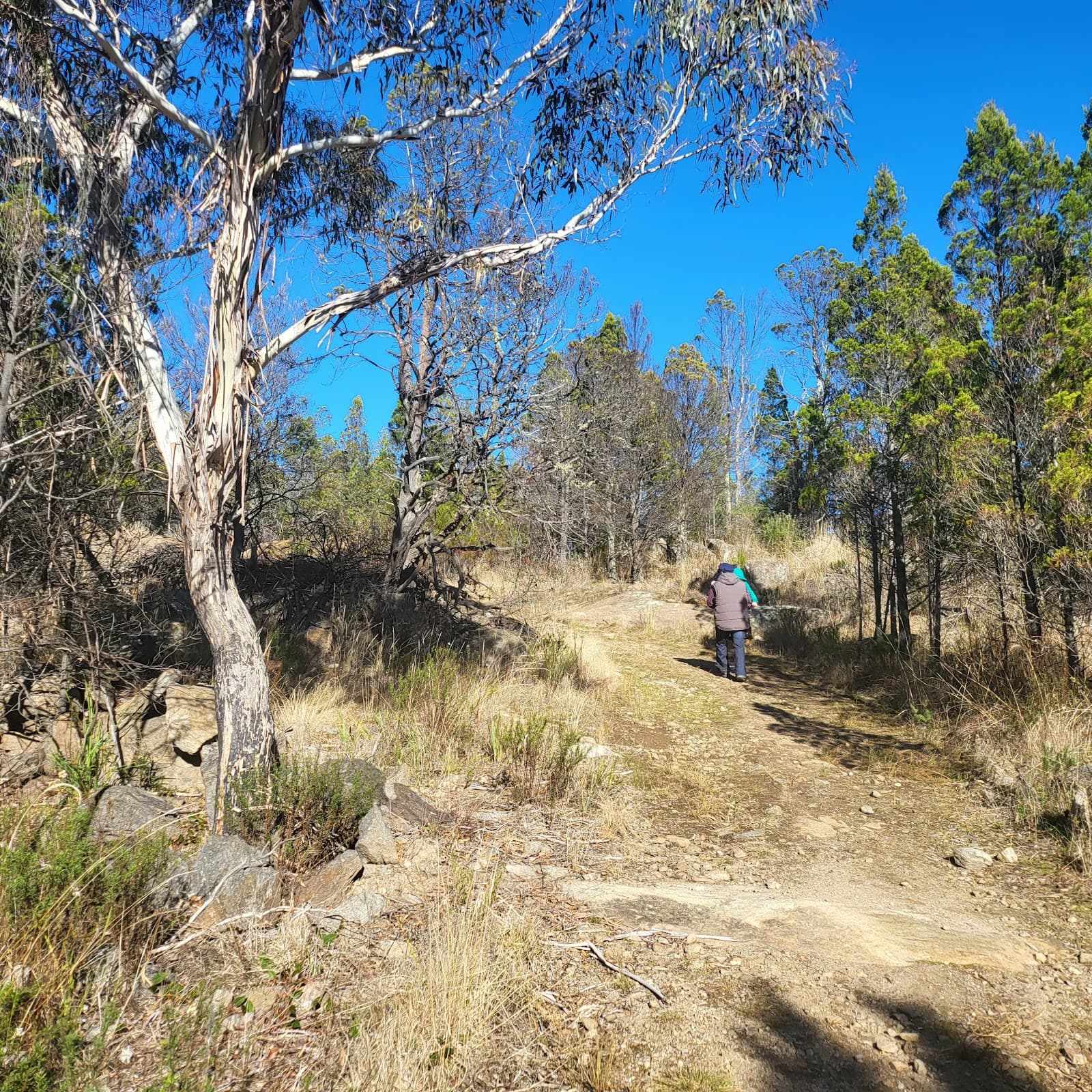 North Ridge Reserve - Image 1