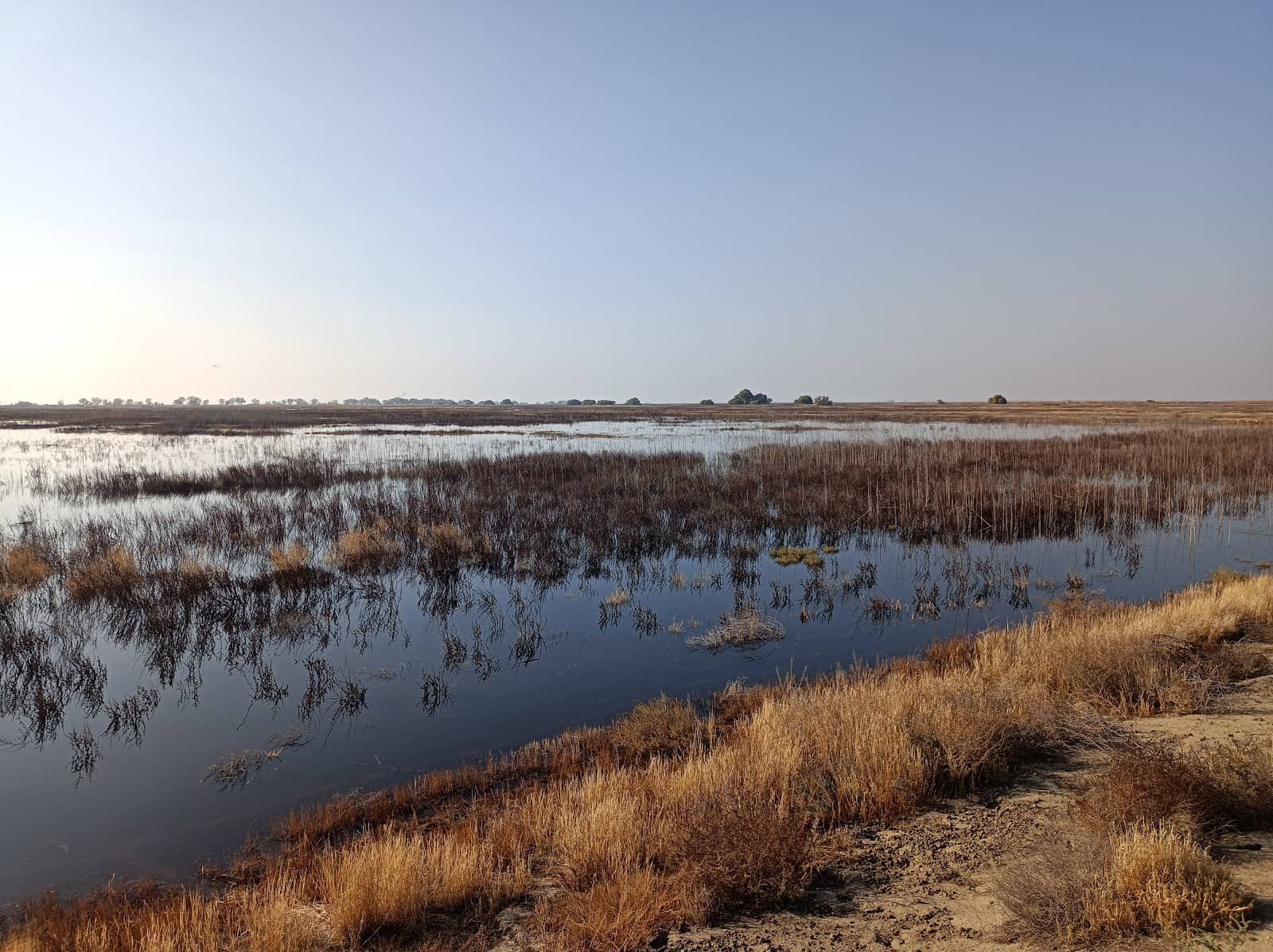 Diverse Habitats