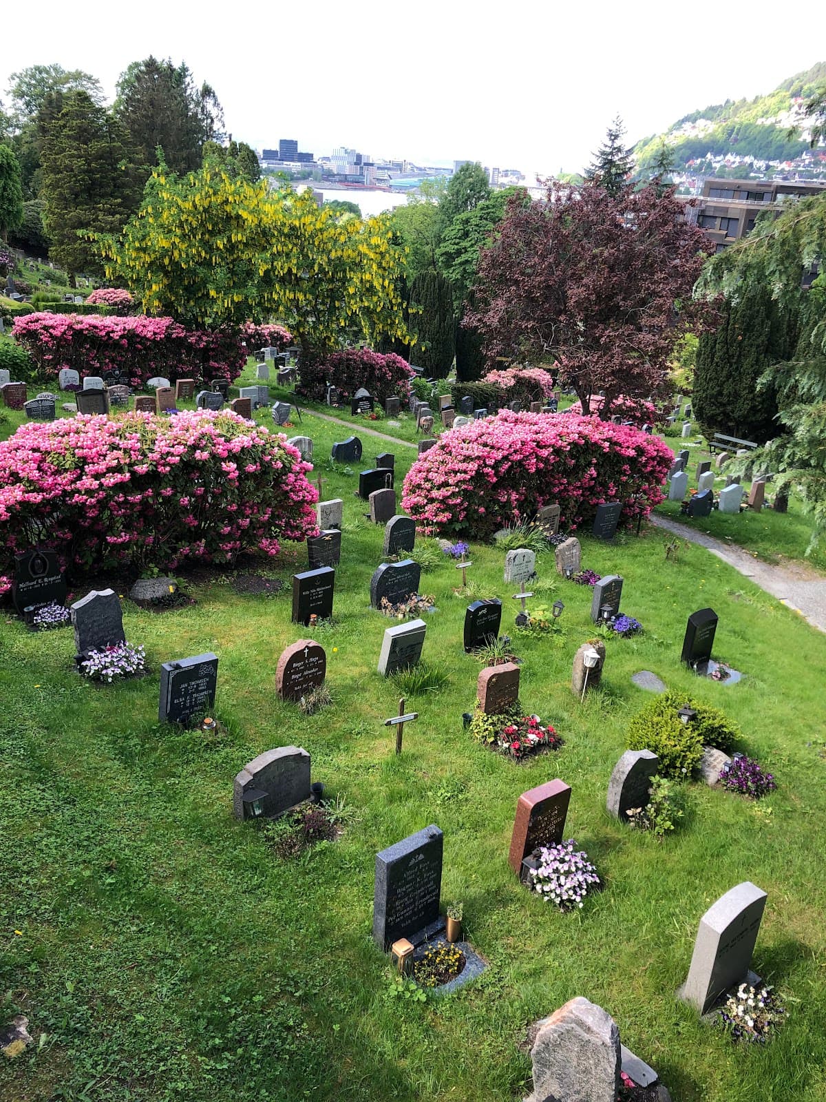 Møllendal Cemetery & Sculpture Park - Image 1