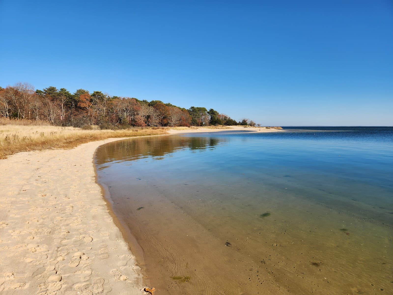 Indian Island County Park - Image 1