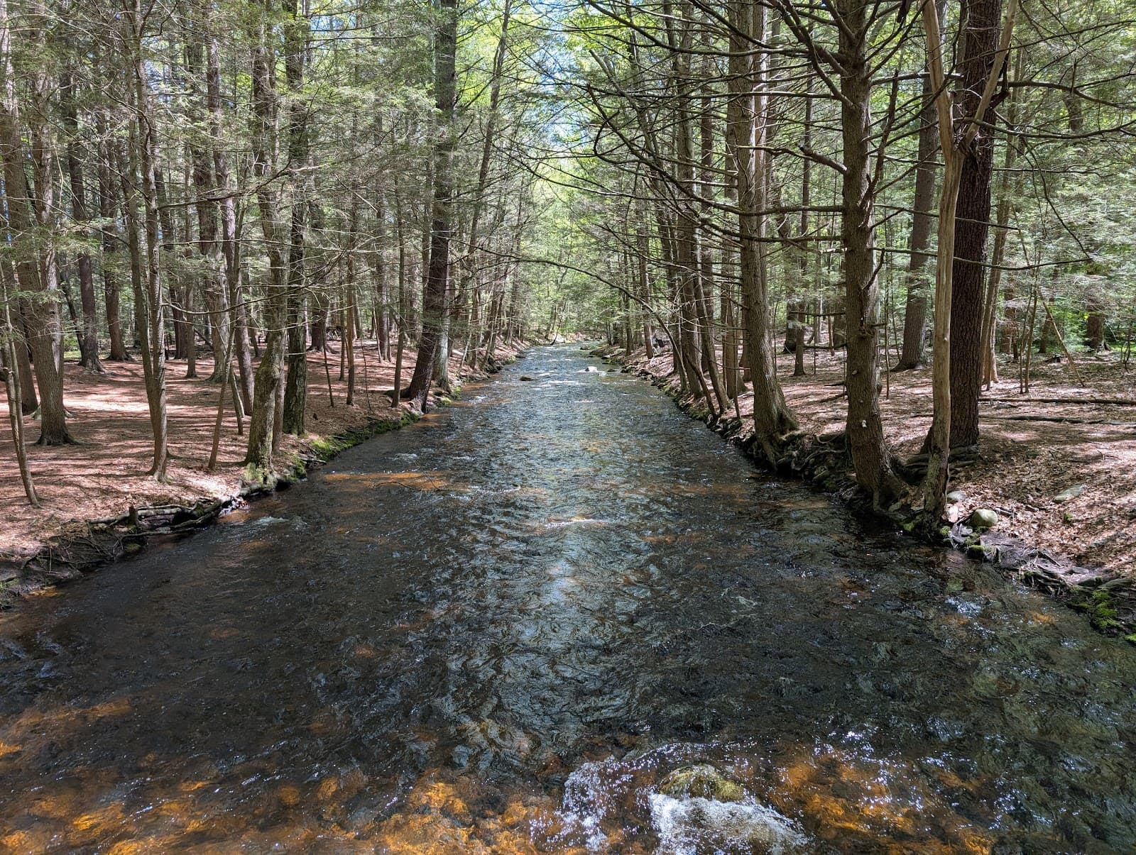 Amethyst Brook Conservation Area - Image 1