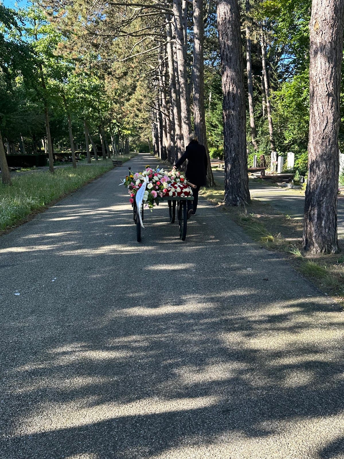 Westduin War Cemetery - Image 1