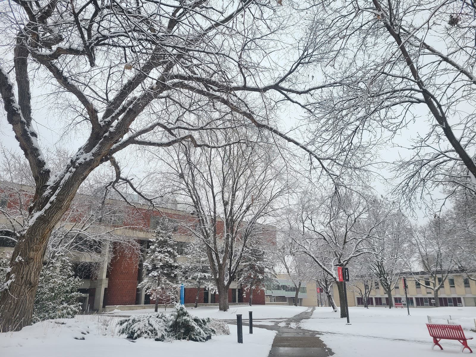 St. Cloud State University - Image 1