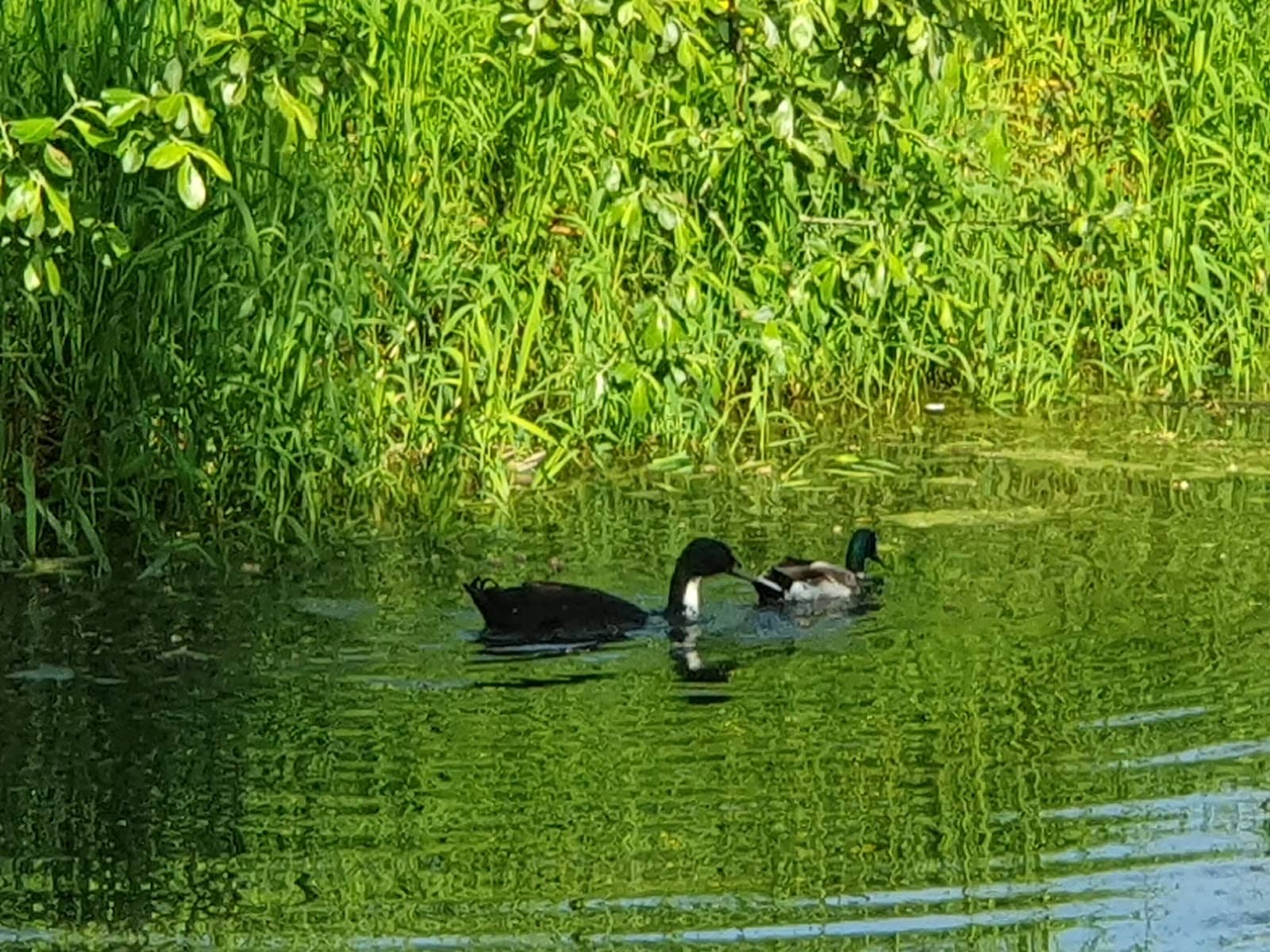Vertical photo