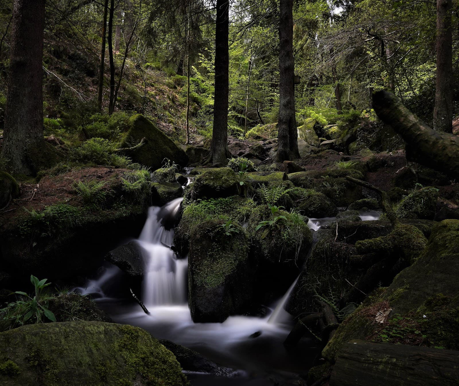 Wyming Brook Nature Reserve Sheffield - Image 1