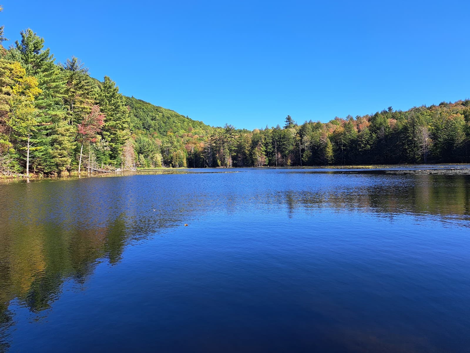 Le P'tit Train du Nord Trail - Image 1