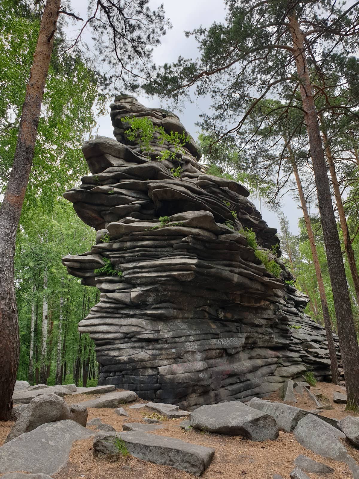 Vertical photo