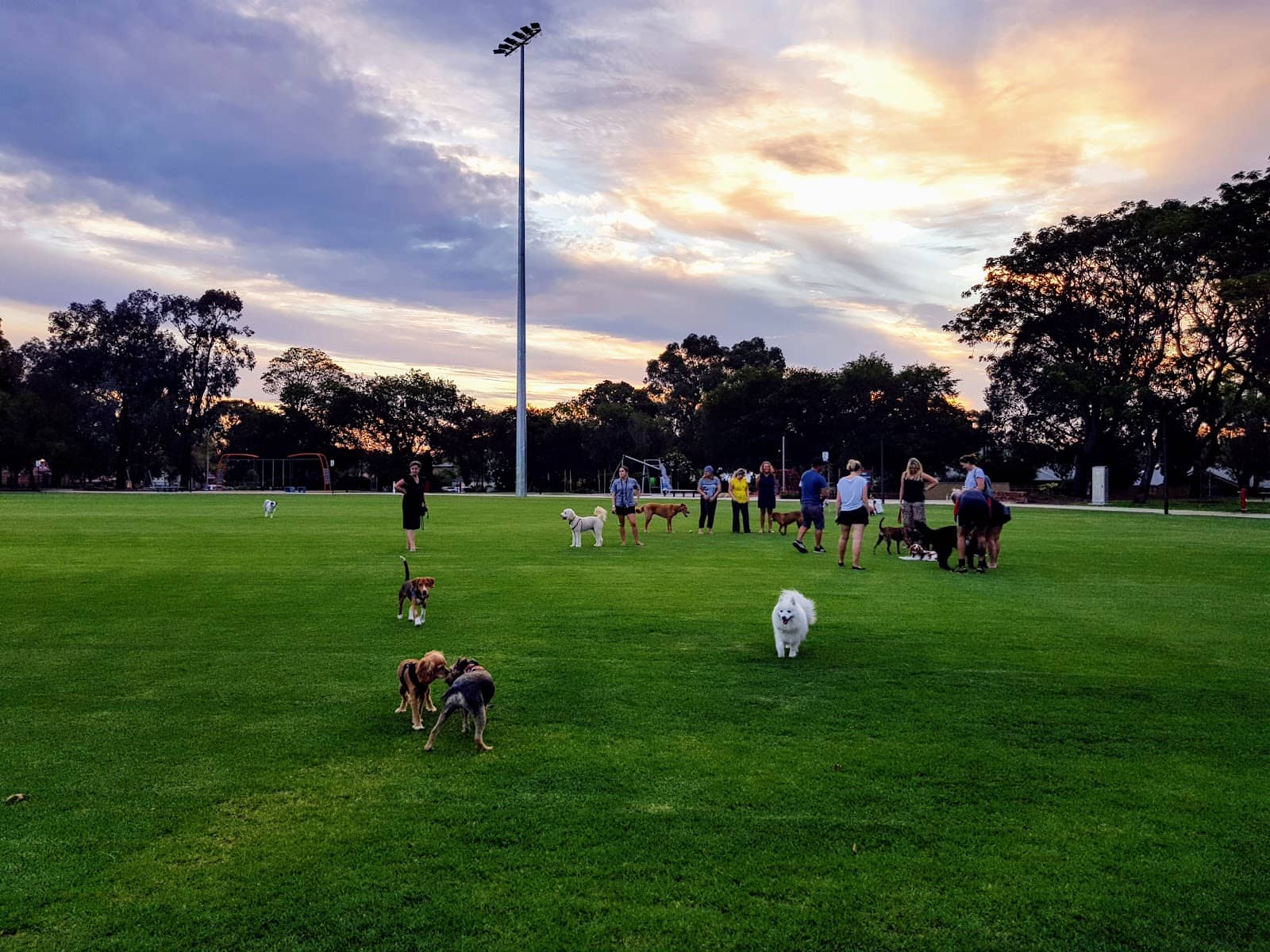 Well-Maintained Oval