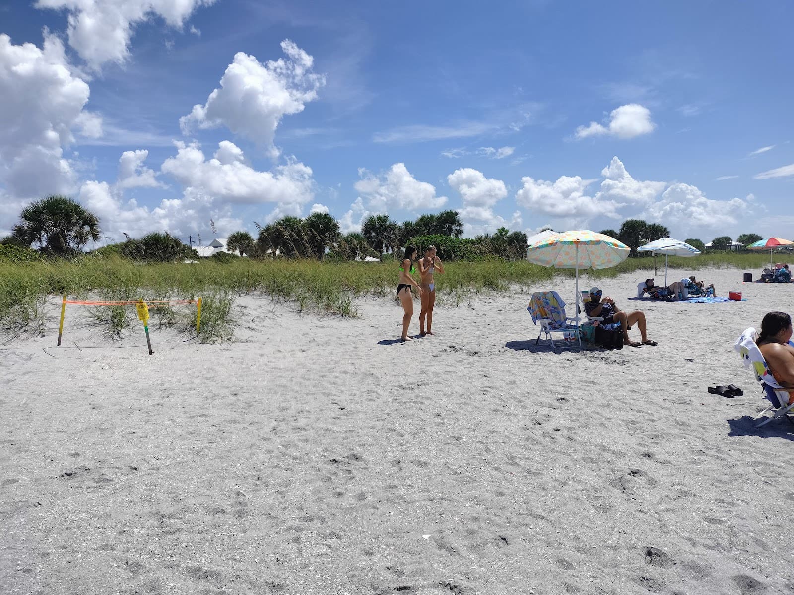 Manasota Key - Image 1