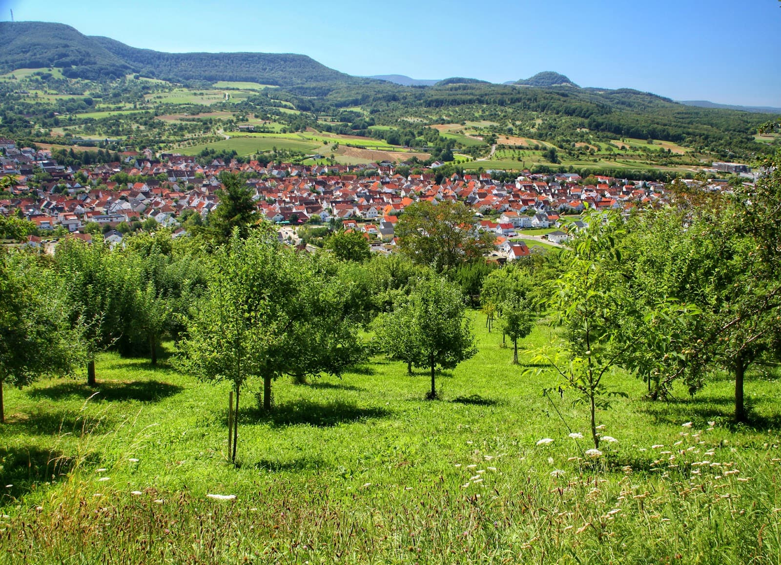 Neuhausen an der Erms - Image 1