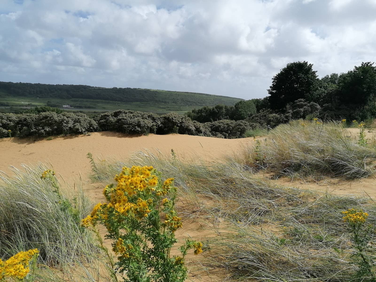 Candleston Woods & Outdoor Sauna