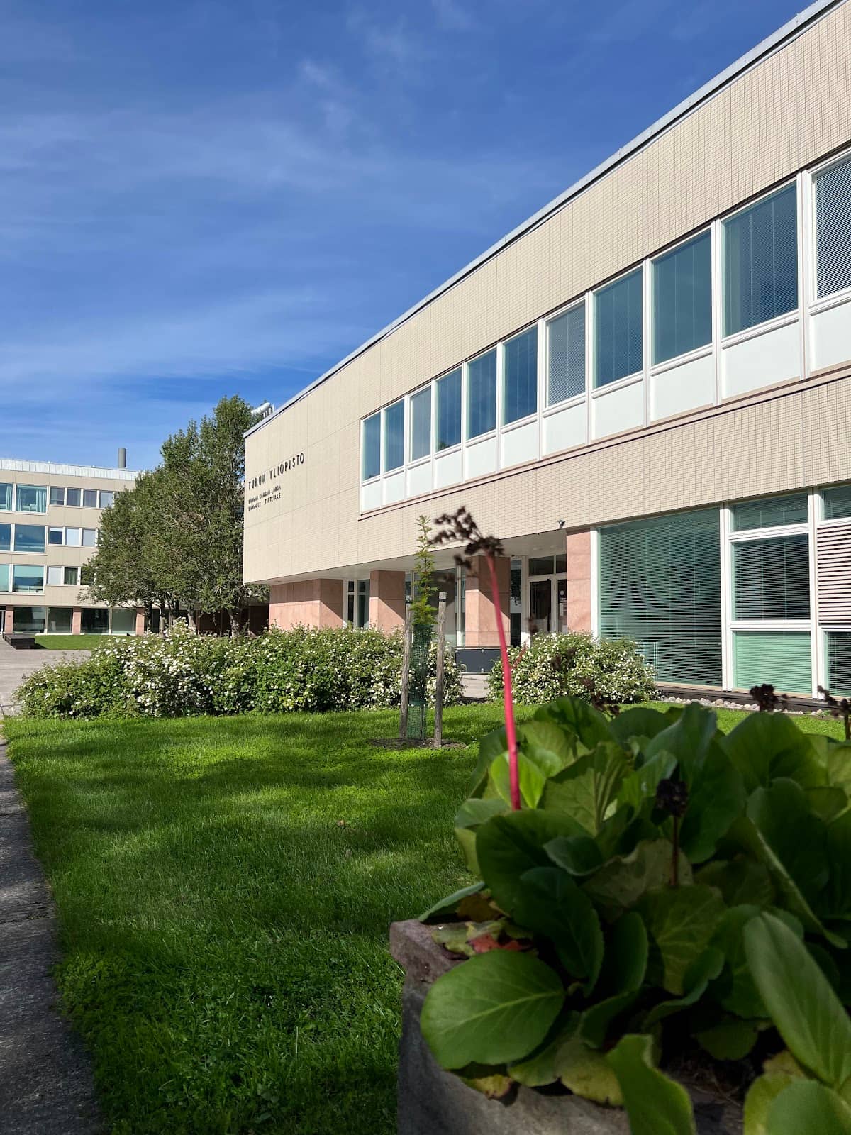 Nearby Dining Options