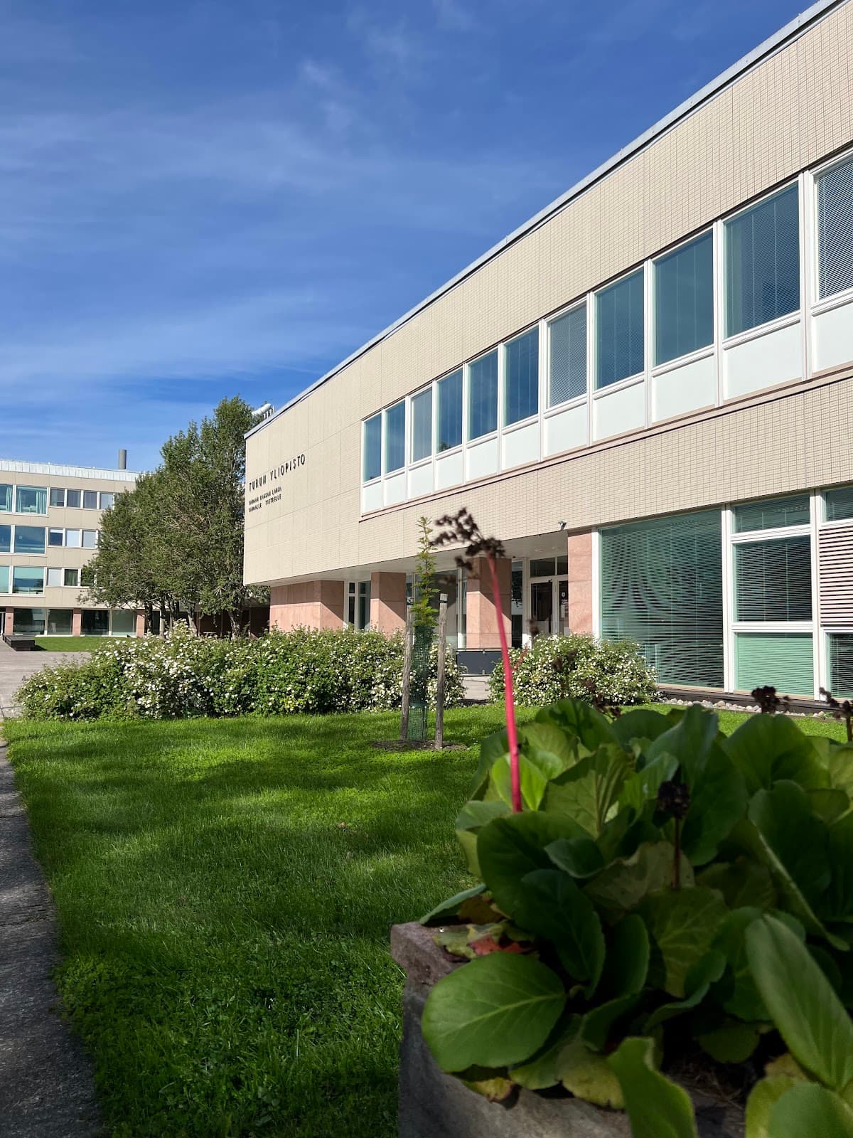 University Hill Yliopistonmäki - Image 1