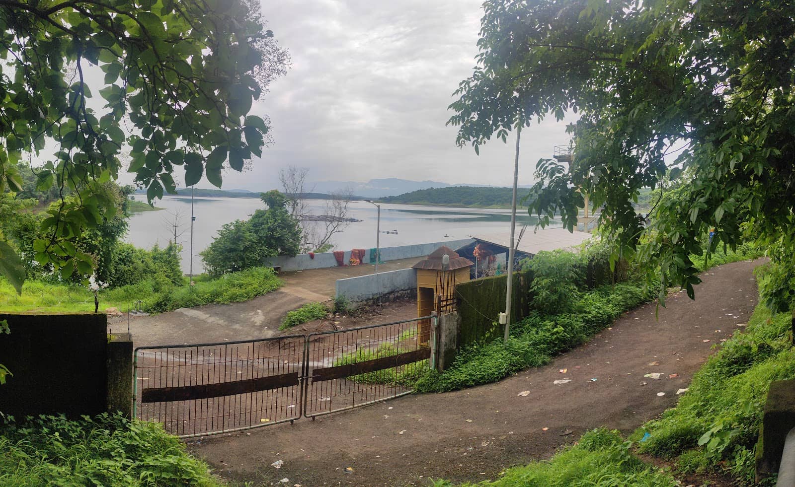Scenic Drive & Tree Tunnel
