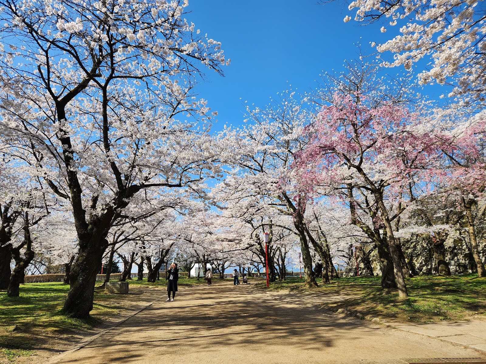 Iwate Park Morioka - Image 1