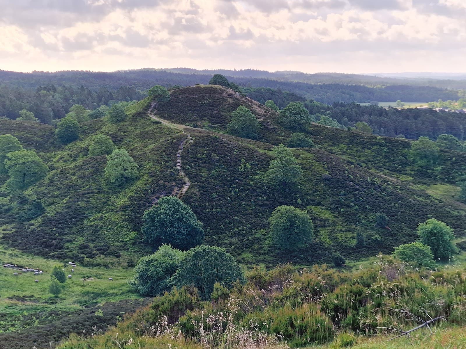 Sindbjerg–Stoubjerg Hills - Image 1