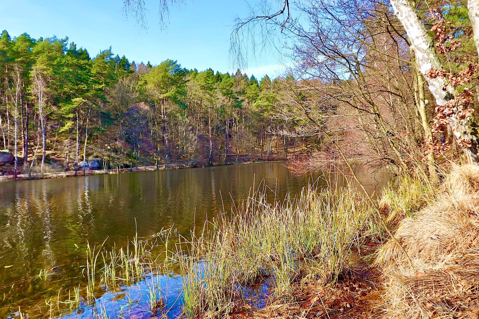 Slätta Damm - Image 1