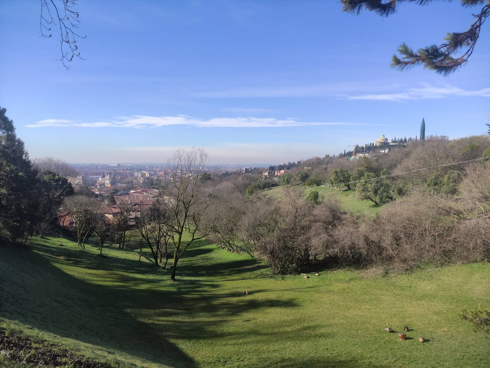 Dog-Friendly Open Spaces