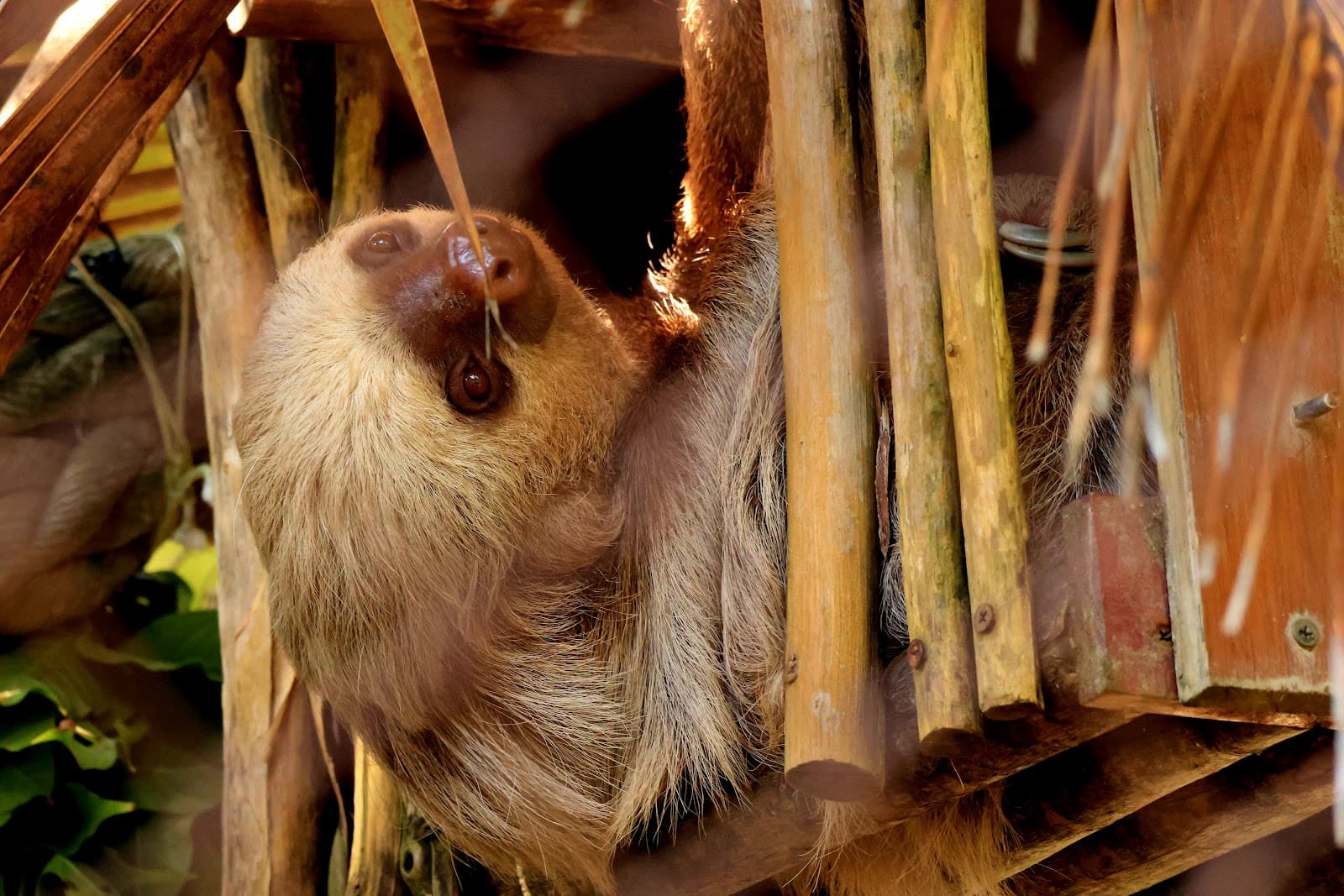 Alturas Wildlife Sanctuary - Image 1