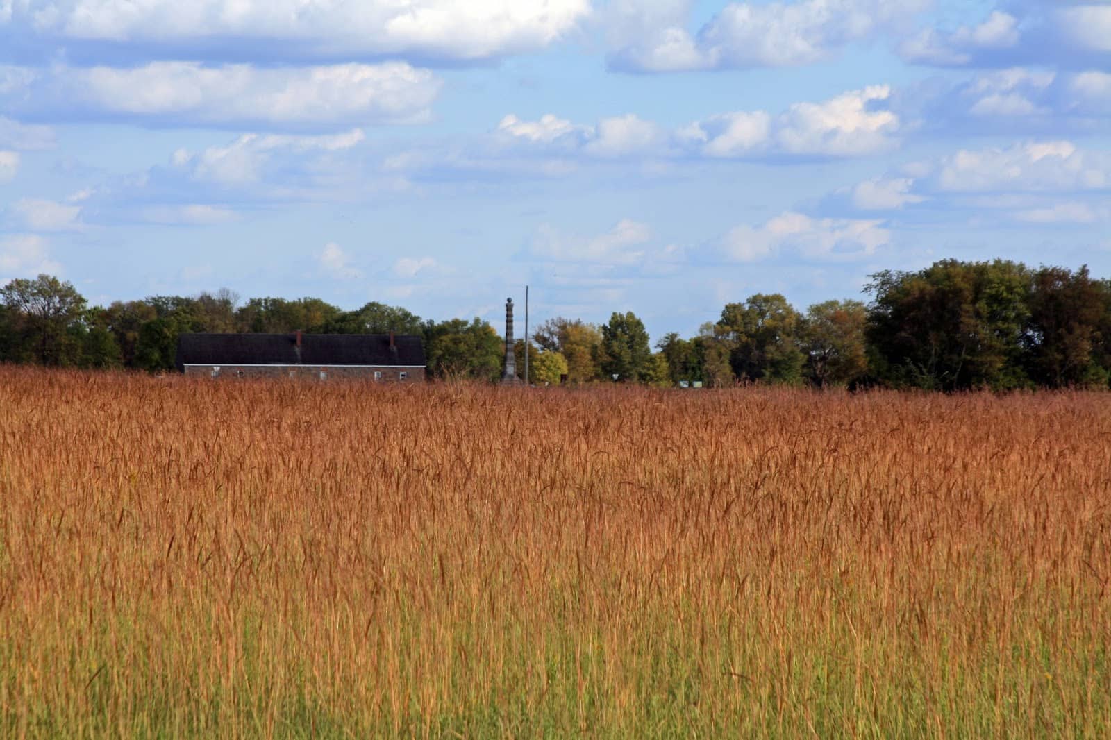 Restored Prairie Trails