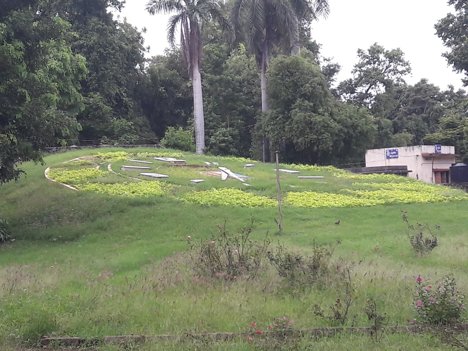 Karelibaug Vadodara - Image 1