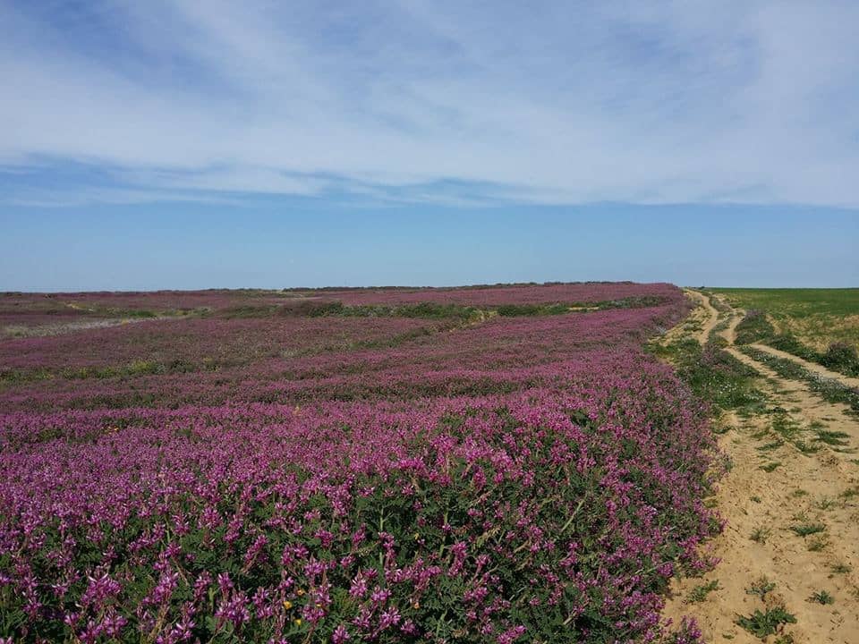 Spectacular Evening Scenery