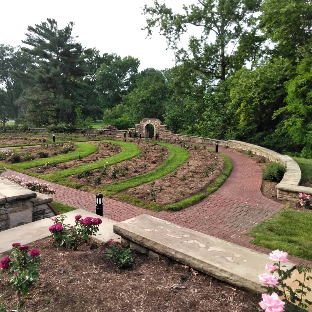 Ritter Park Rose Garden - Image 1