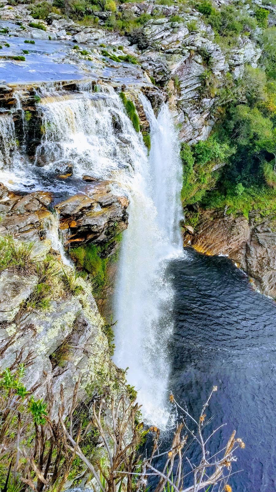 Vertical photo