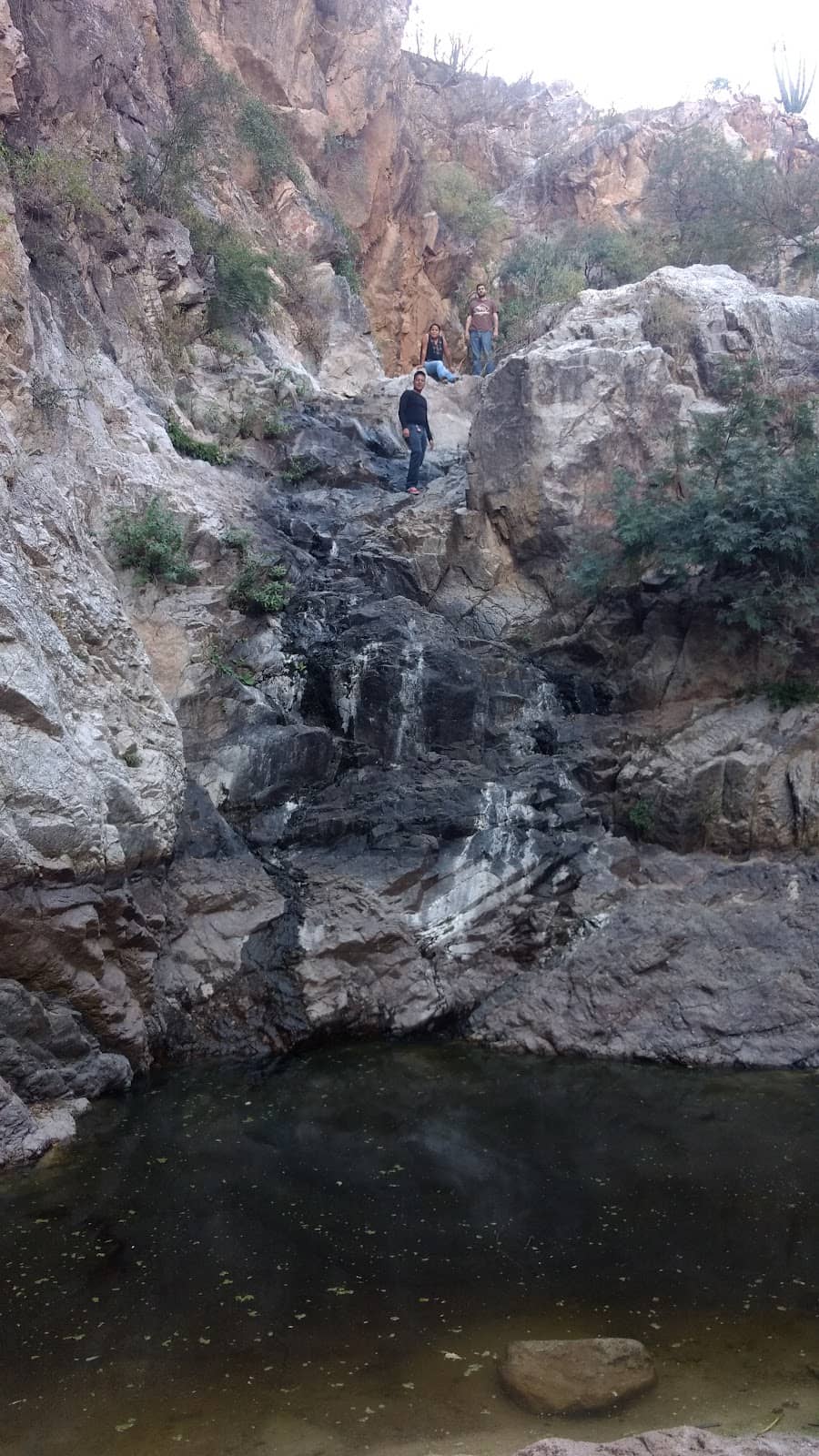 Vertical photo