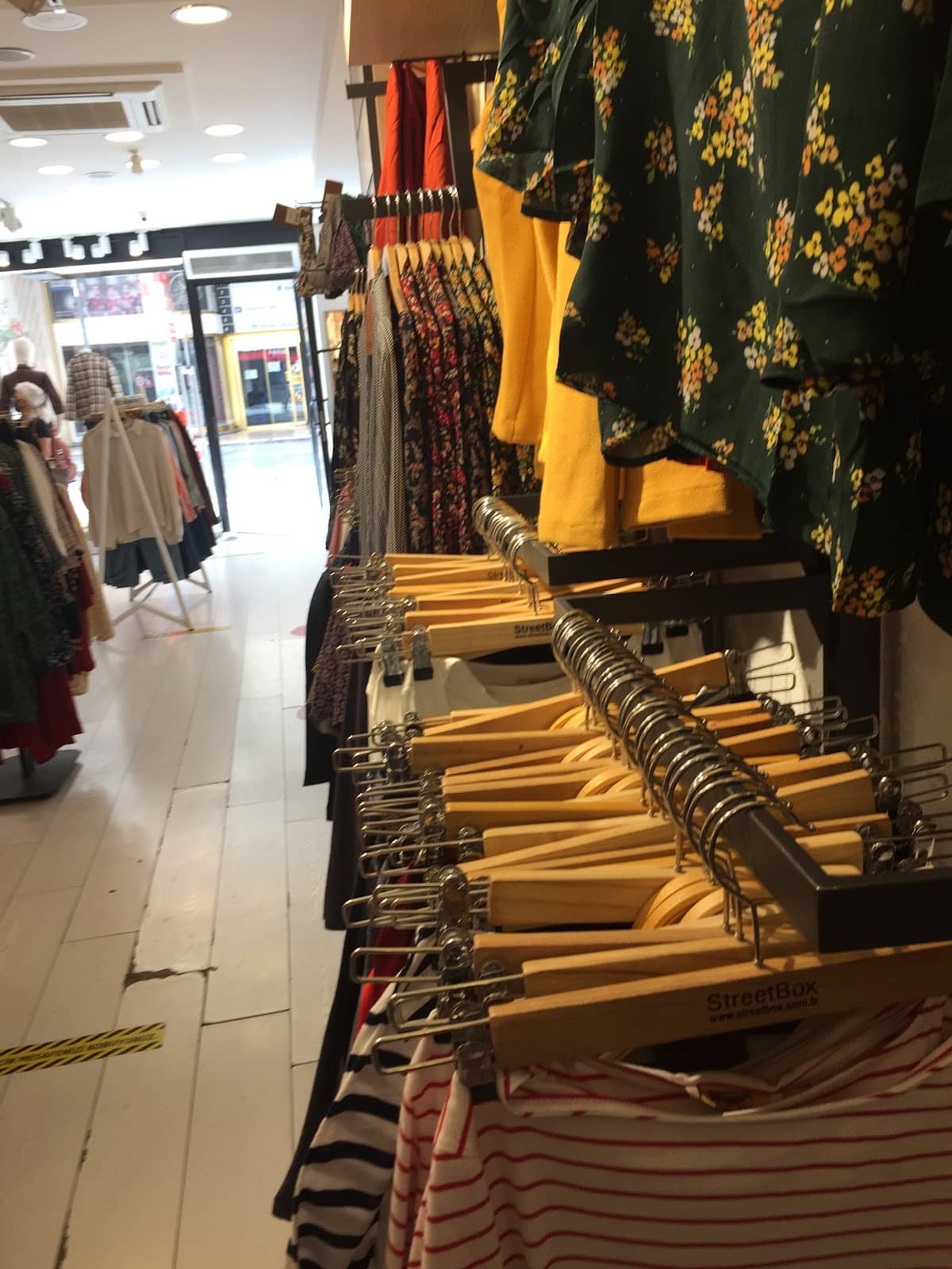 Local Artist Showcases