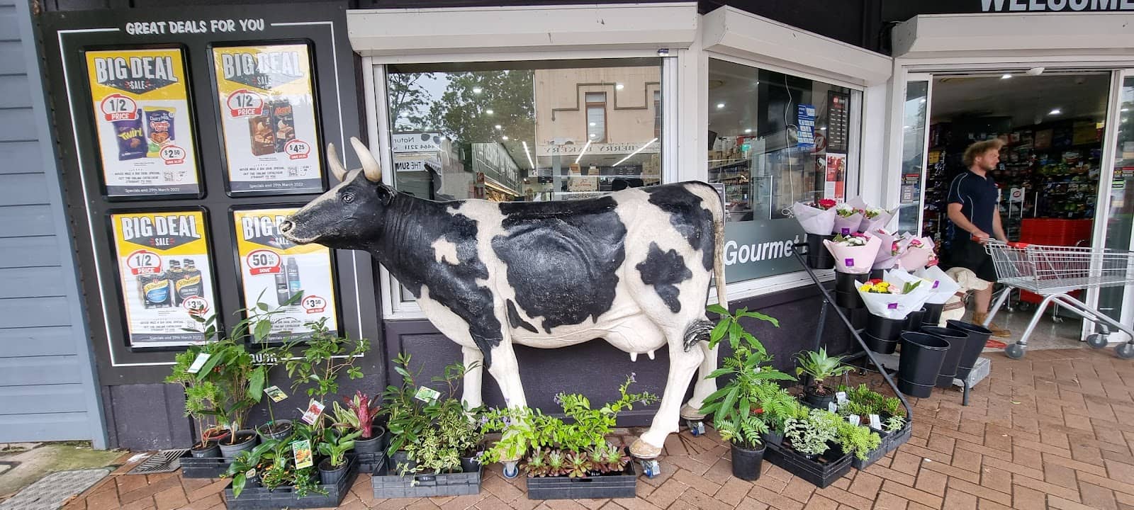 Raspberry Patch Adventure