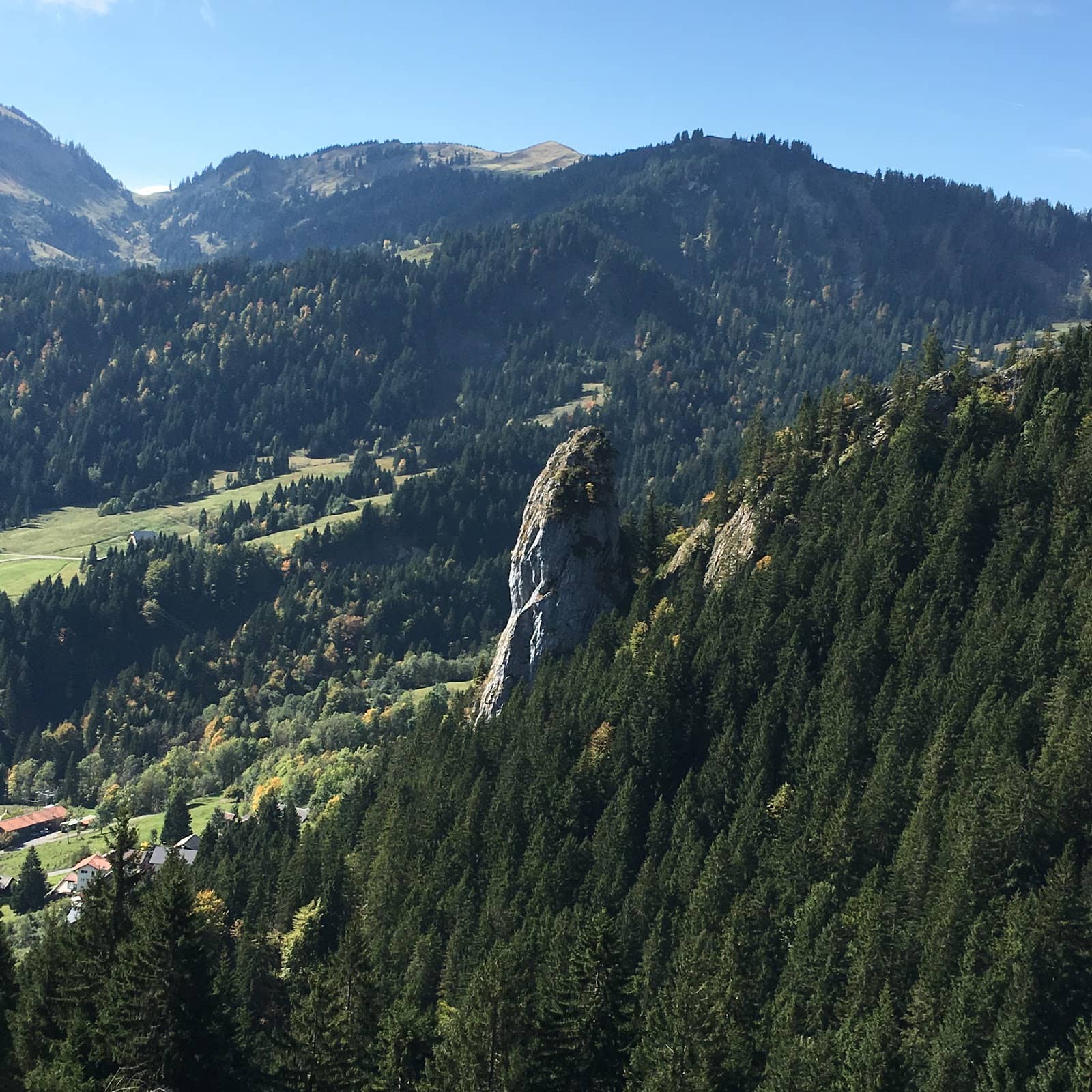 Vertical photo