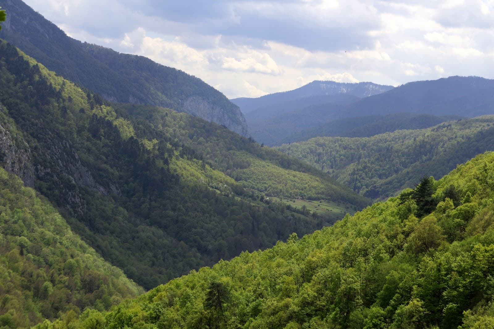 Yenice Forest & Şeker Canyon - Image 1