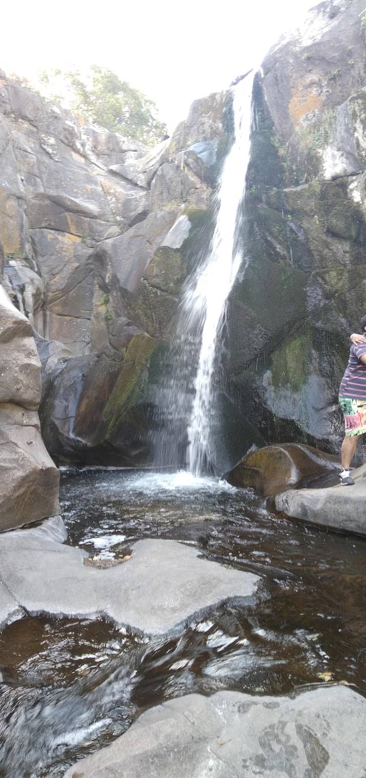 Cueva de los Pajaritos