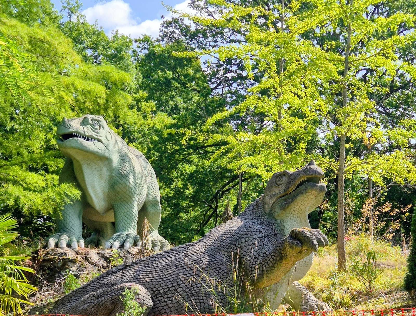 The Plesiosaurus & Ichthyosaurus