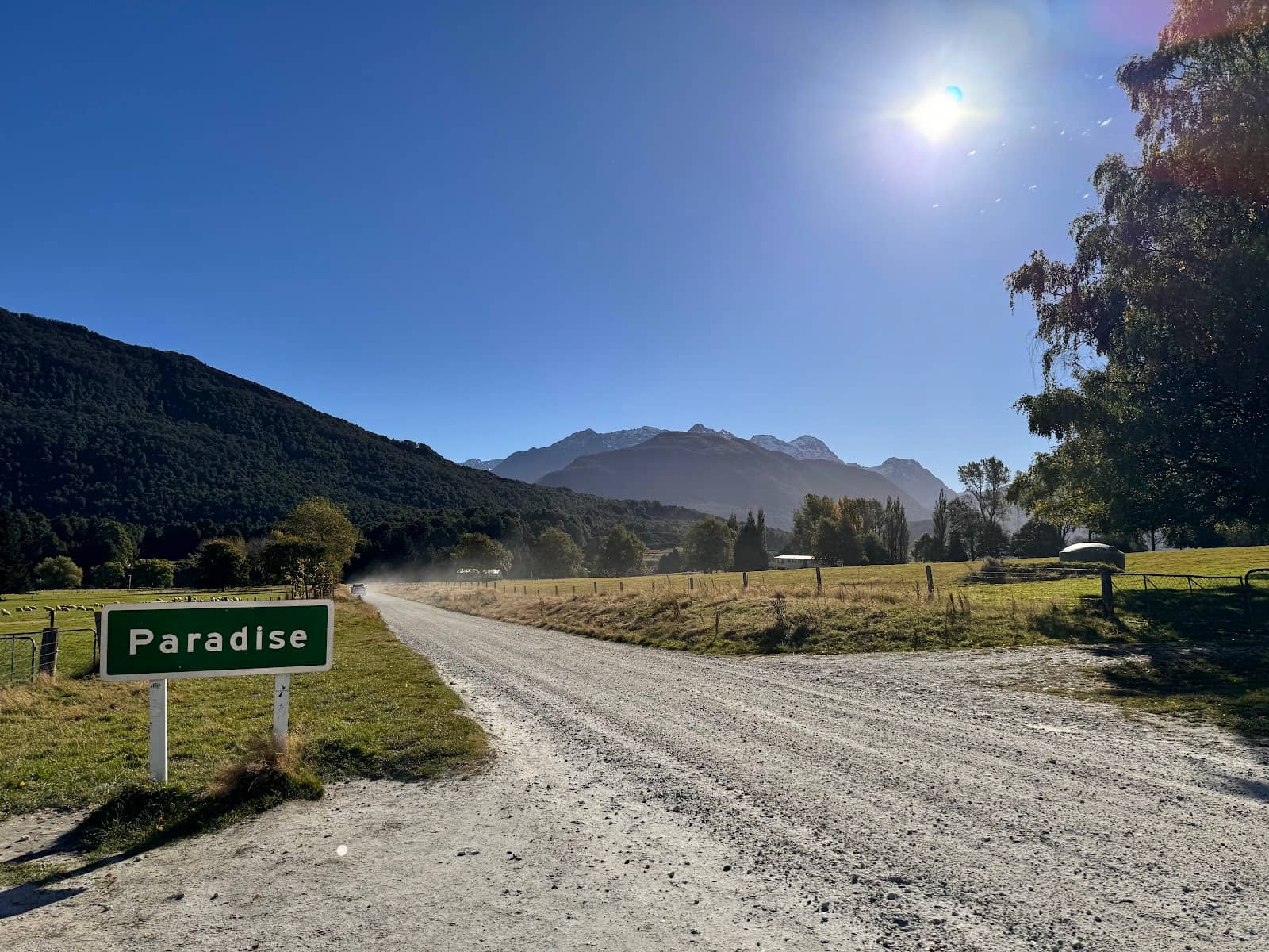 Horse Riding Adventures