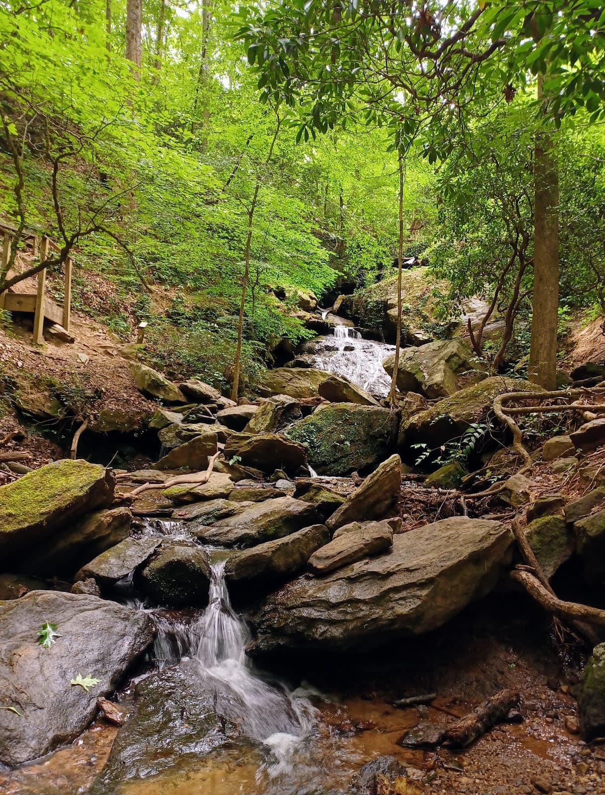 Waldrop Stone Falls - Image 1